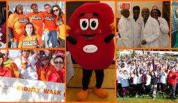 NYC Kidney Walk-October 14, 2026 South street Seaport NYC Kidney Walk-October 14, 2026 South street Seaport
